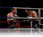 two boxers in the boxing ring