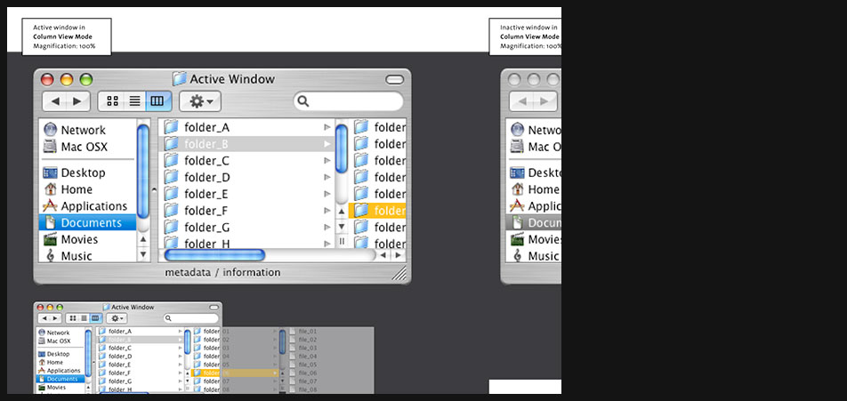 Mac OS X windows